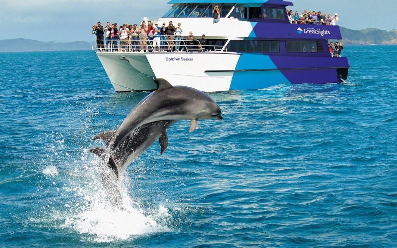 Bay of Islands cruises