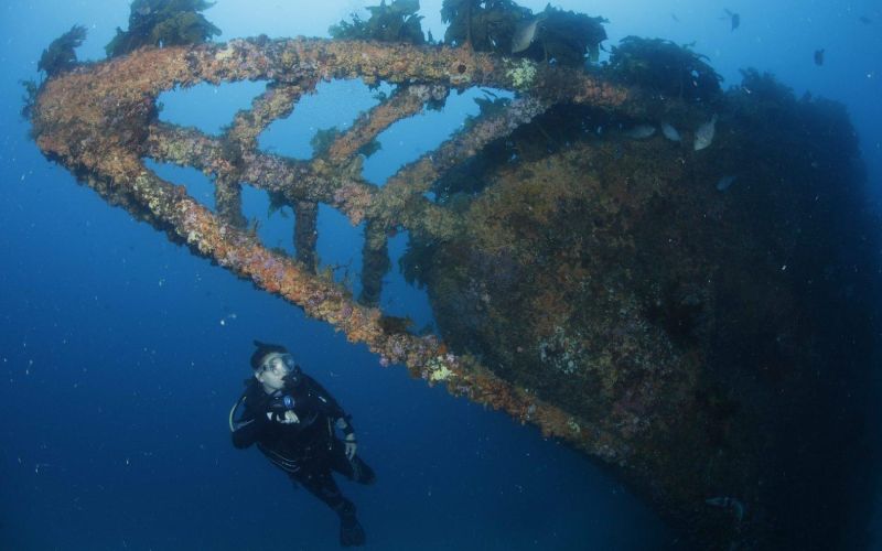 Dive the Rainbow Warrior