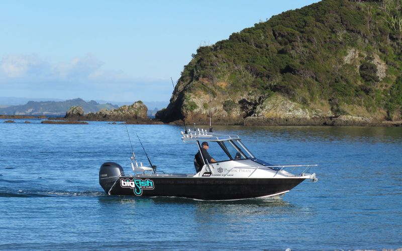 Fishing Day Trips