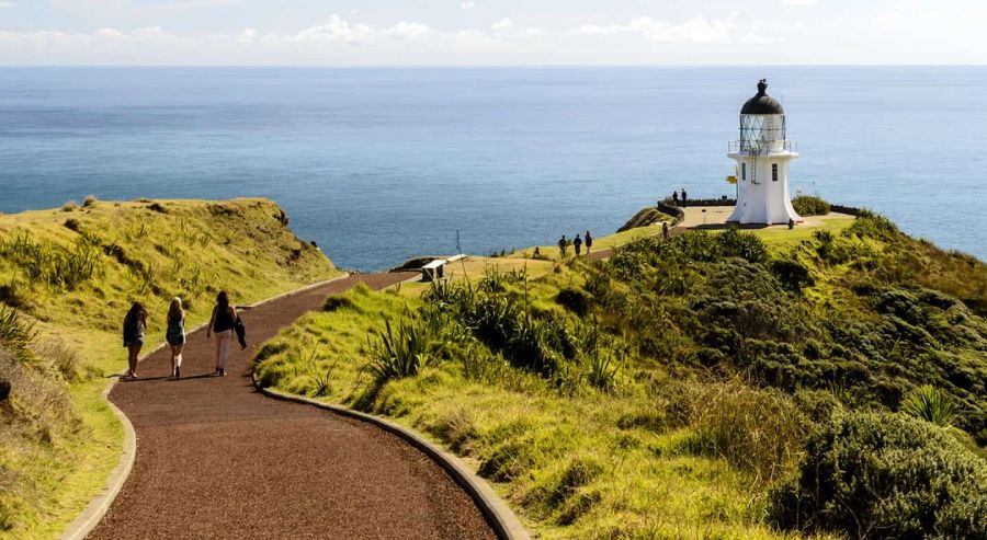 Bay of Islands scenic trips