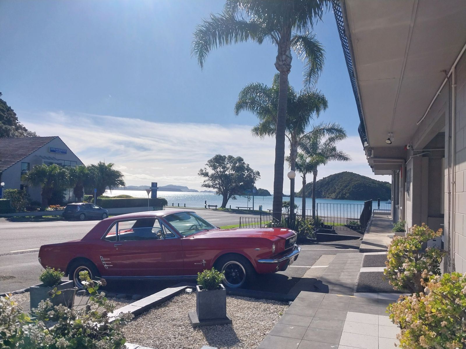 Where to stay in Paihia